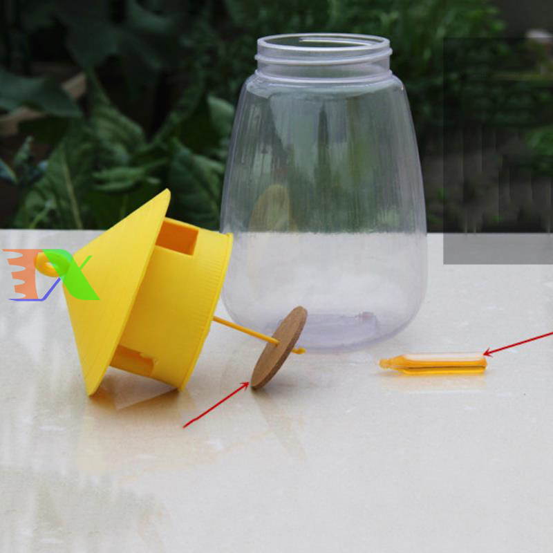 Bẫy ruồi vàng dạng lồng bắt